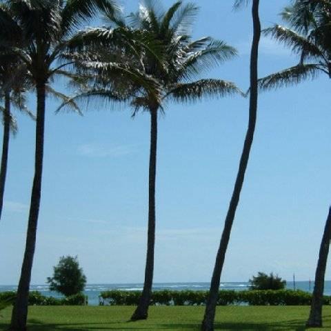 Fairway Villas Honolulu Bagian luar foto